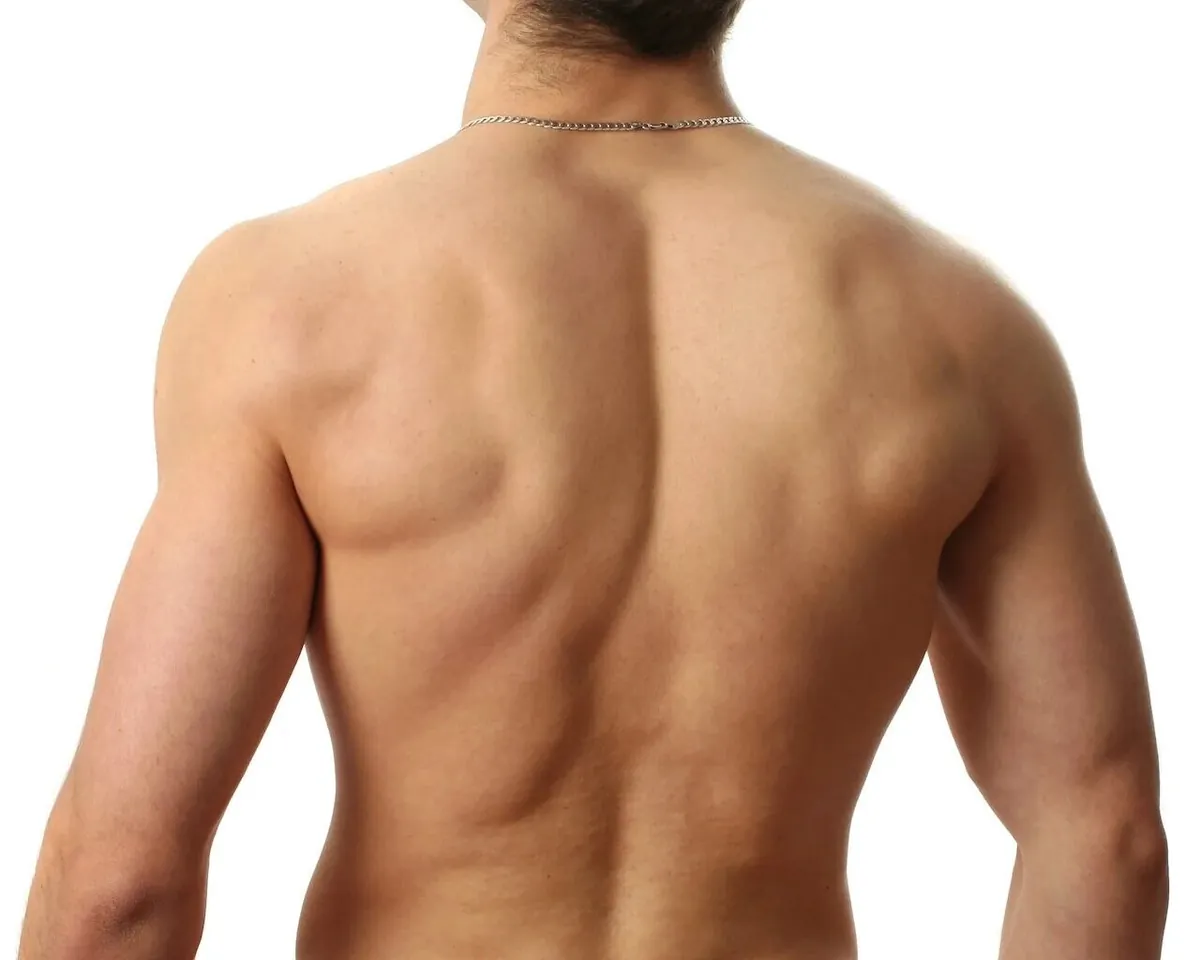Men's Full Back